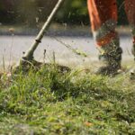 Gartenarbeiten im Herbst